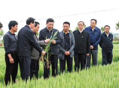 習(xí)近平在安徽考察 觀看中科大智能機器人