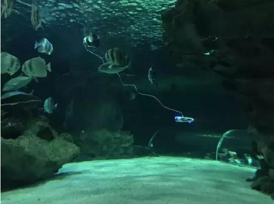 水下拍攝機(jī)器人來(lái)了，可水下拍照、攝影、尋魚(yú)、放釣鉤